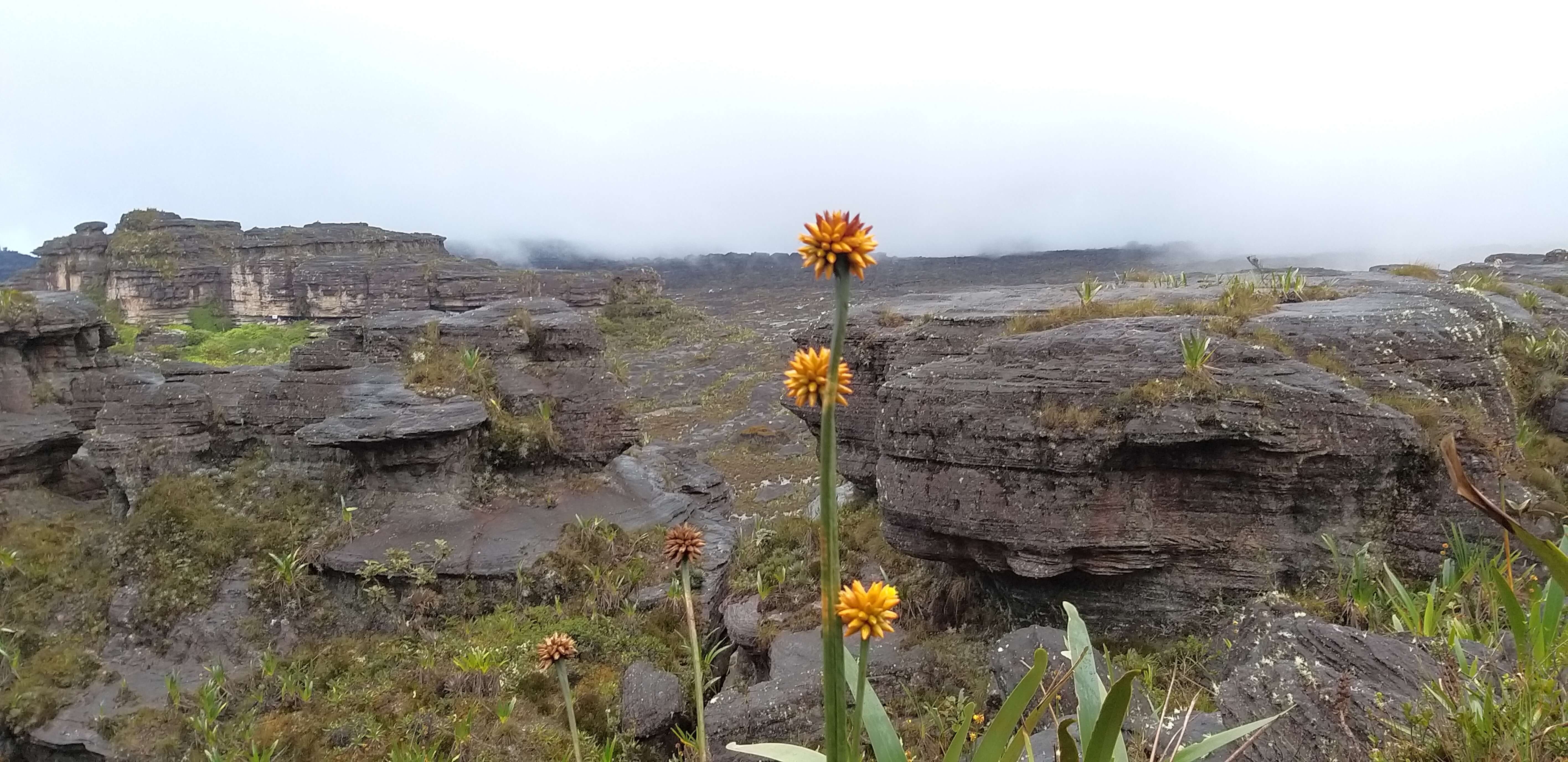 trekking-monte-roraima-quantos-dias