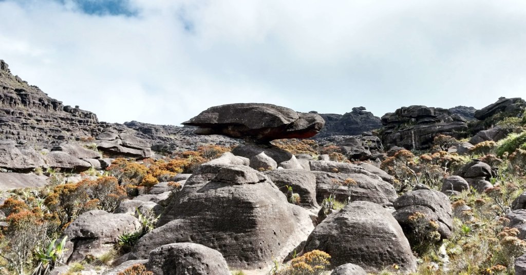 La-tortuga-voladora-monte-roraima