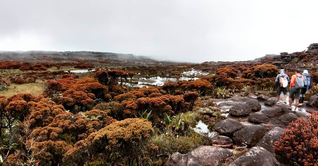 trekking-monte-roraima-gran-sabana-venezuela