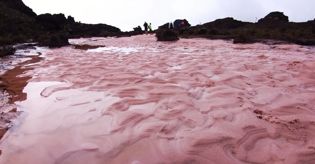 trekking-monte-roraima-venezuela