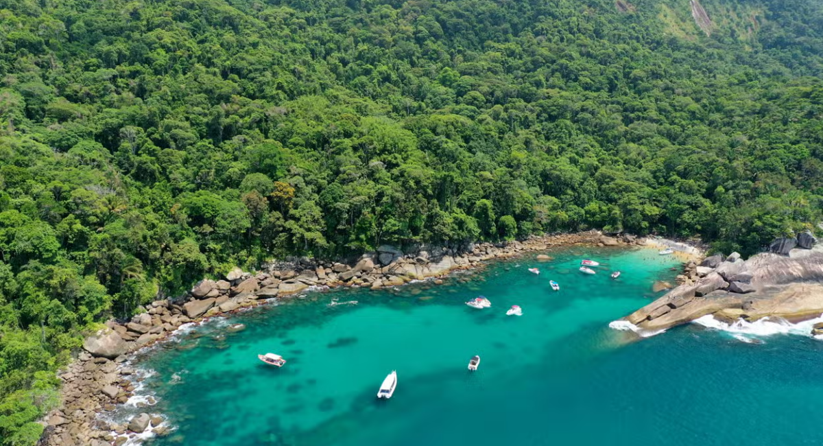 O mar e a mata atlântica em Ilha Grande/Civitatis