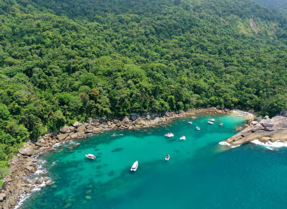 O mar e a mata atlântica em Ilha Grande/Civitatis