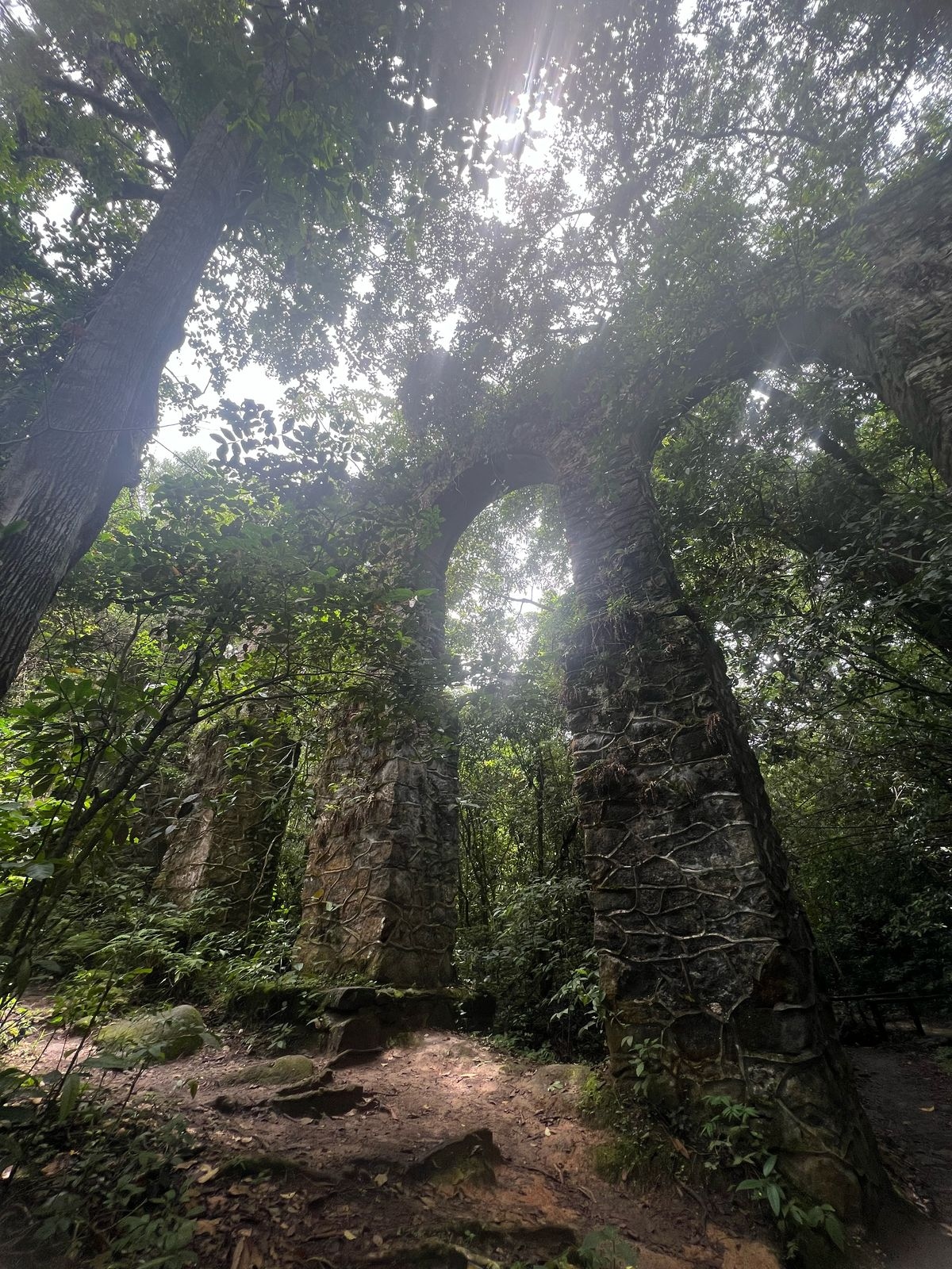 o que fazer em ilha grande