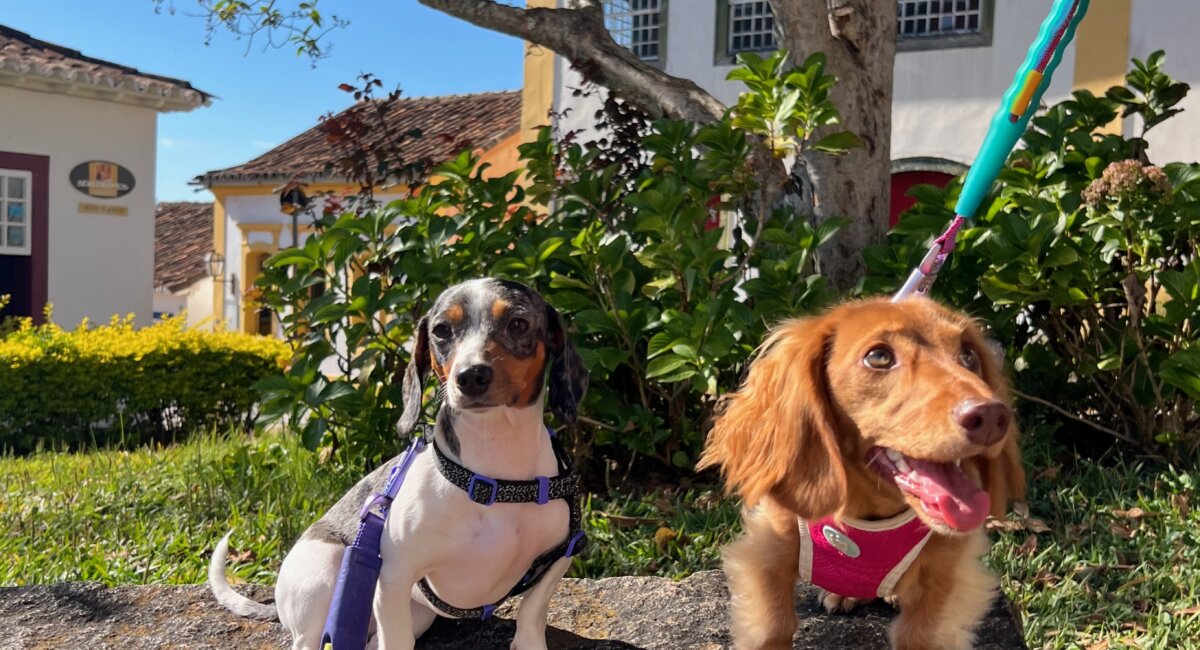 Pitaya e Pitanga conhecendo a cidade de Tiradentes, em Minas Gerais. Foto: Fernanda Antônia Bernardes