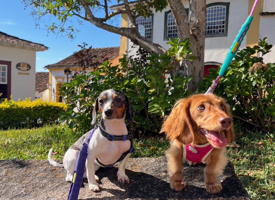 Pitaya e Pitanga conhecendo a cidade de Tiradentes, em Minas Gerais. Foto: Fernanda Antônia Bernardes