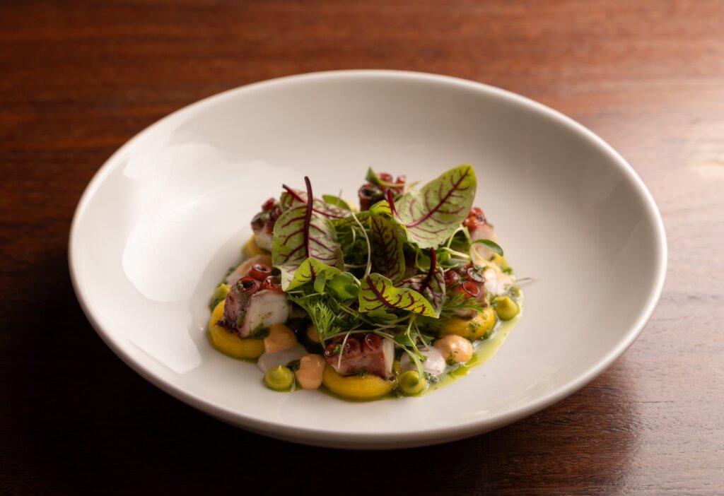 Polvo/Foto: Juliana Primon