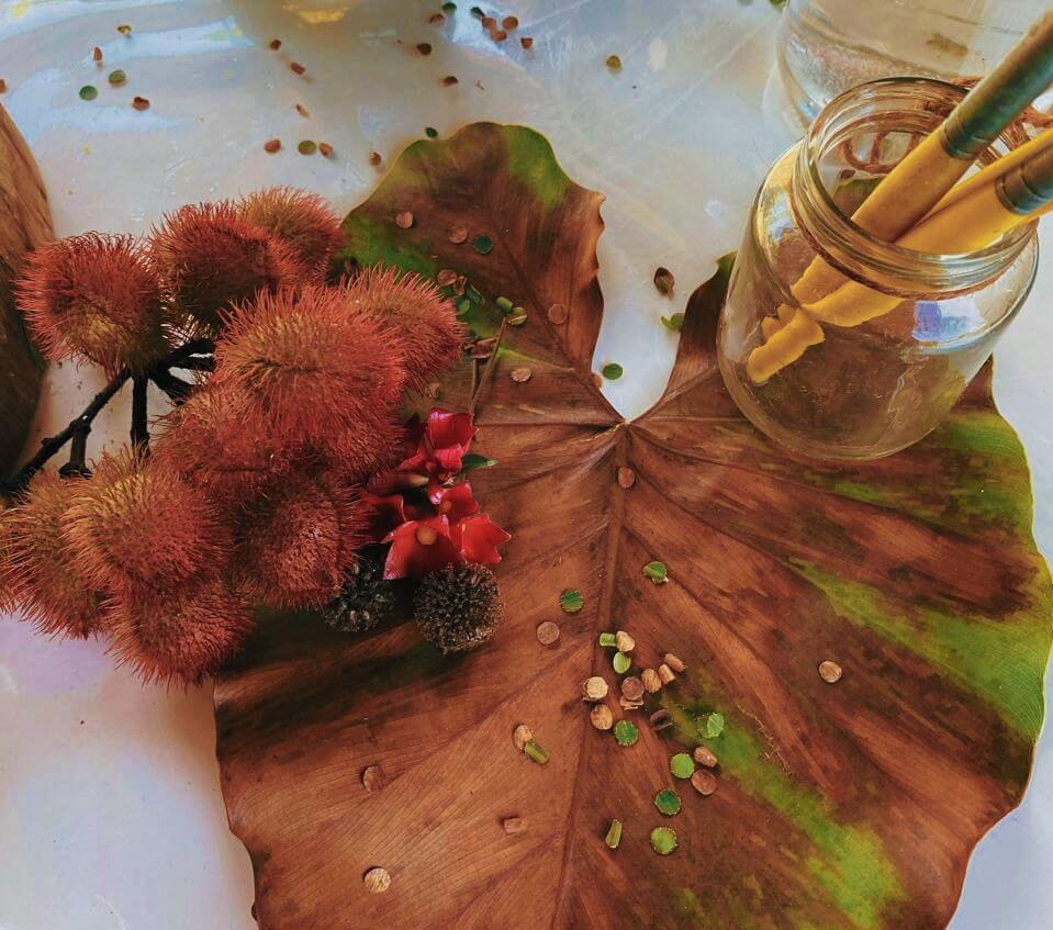 Carnaval no Ekôa Park