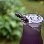 Soda italiana de lavanda, preparada com xarope da flor que nasce no quintal da casa/ Foto: Fernanda Antônia Bernardes